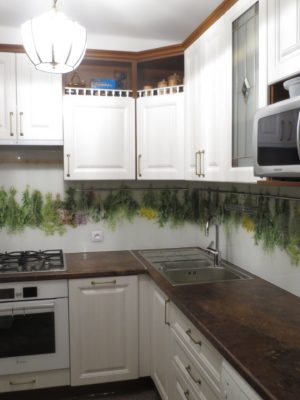 Фартук для кухни из стекла 03