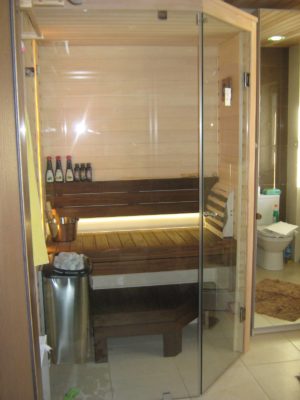 Стеклянные двери для сауны-08