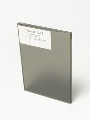 DSC06432_Триплекс 332 BONEVA серая