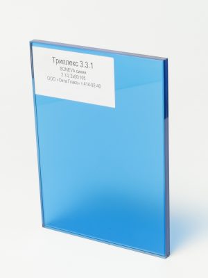 DSC06481_Триплекс 331 BONEVA синяя