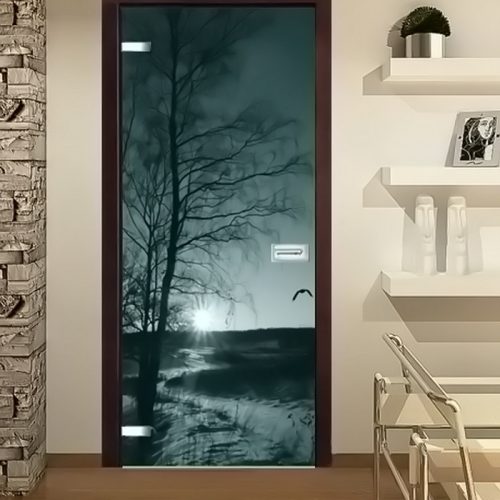 004_Межкомнатная дверь с фотоизображением