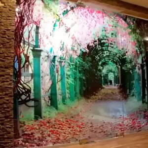 041_Входная группа из закаленного стекла с УФ печатью